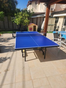 ������ ������ ����� ���� ���